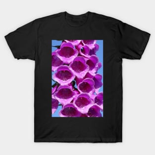 Foxglove T-Shirt